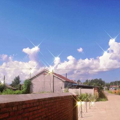 龙舞千年最新版下载